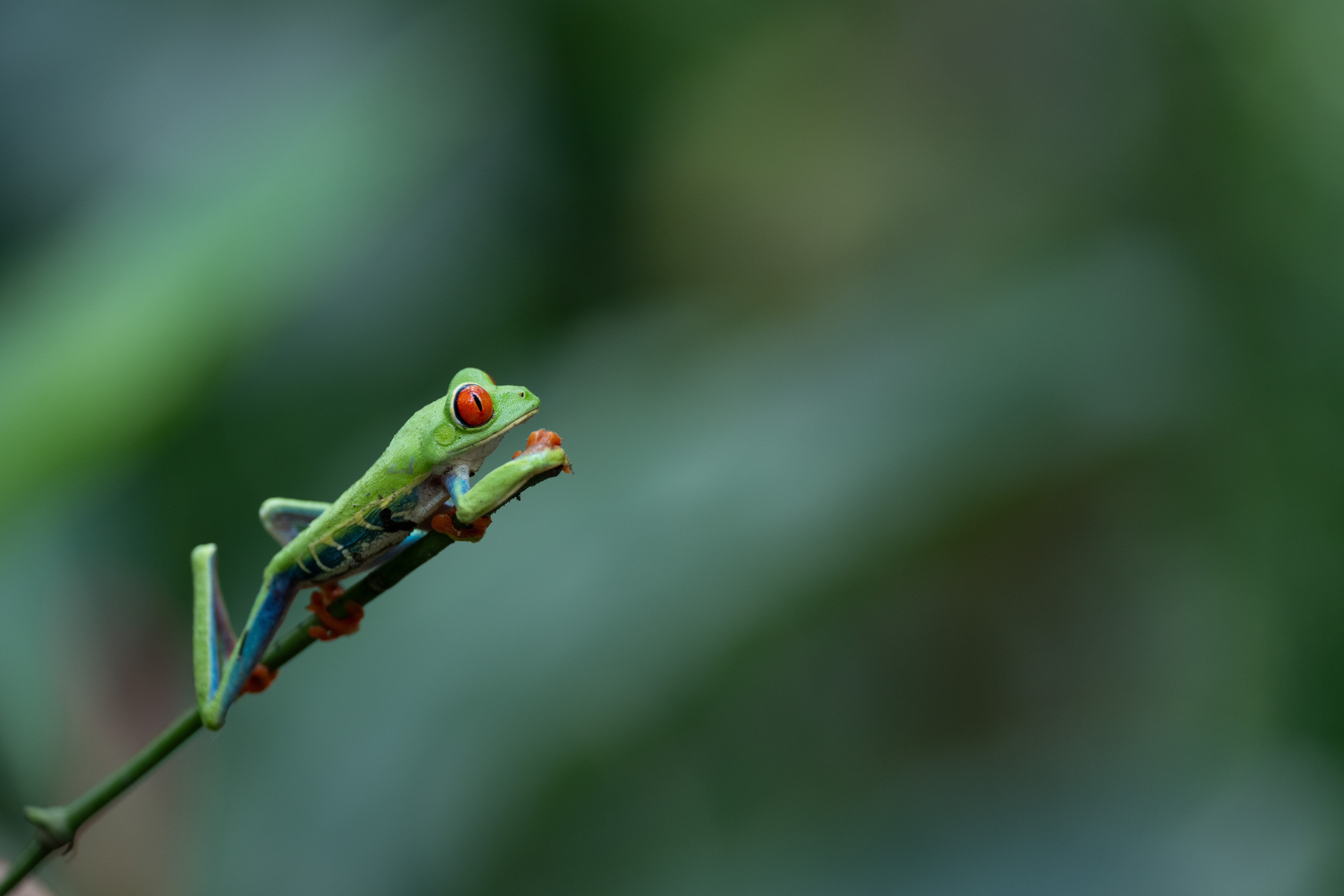 Costa Rica